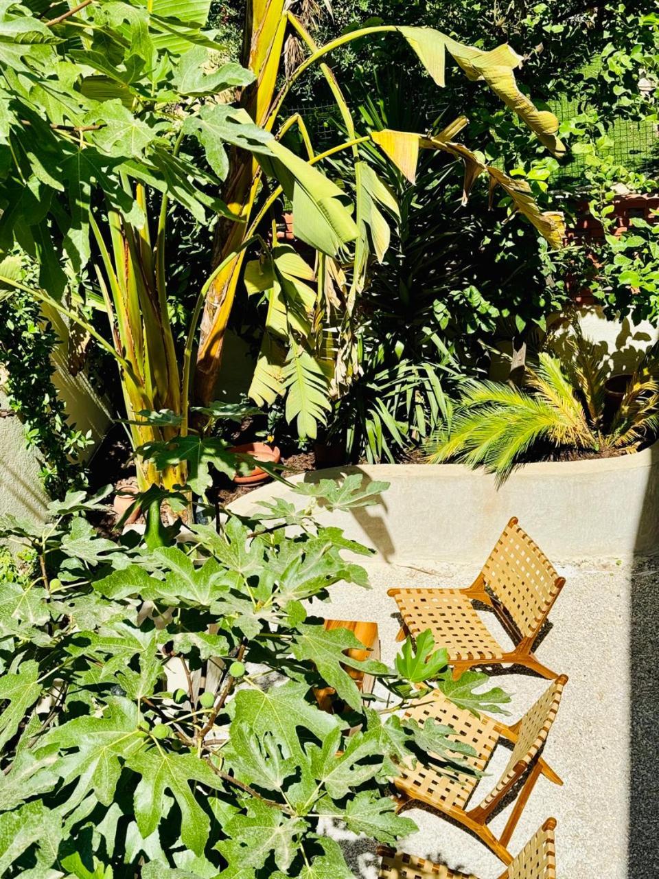 Maison Lyo Suite Luxe Cannes Zewnętrze zdjęcie
